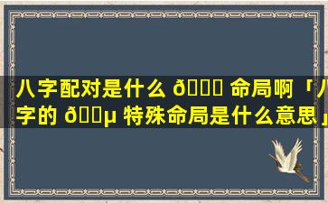 八字配对是什么 🐒 命局啊「八字的 🌵 特殊命局是什么意思」